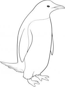 як намалювати пінгвіна олівцем