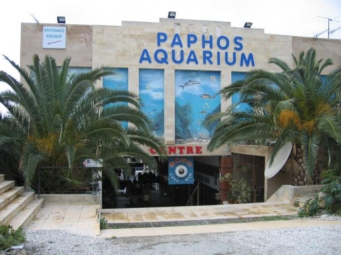 Бутік-готель економ-класу Pinelopi Beach Hotel Apts, Кіпр, Пафос